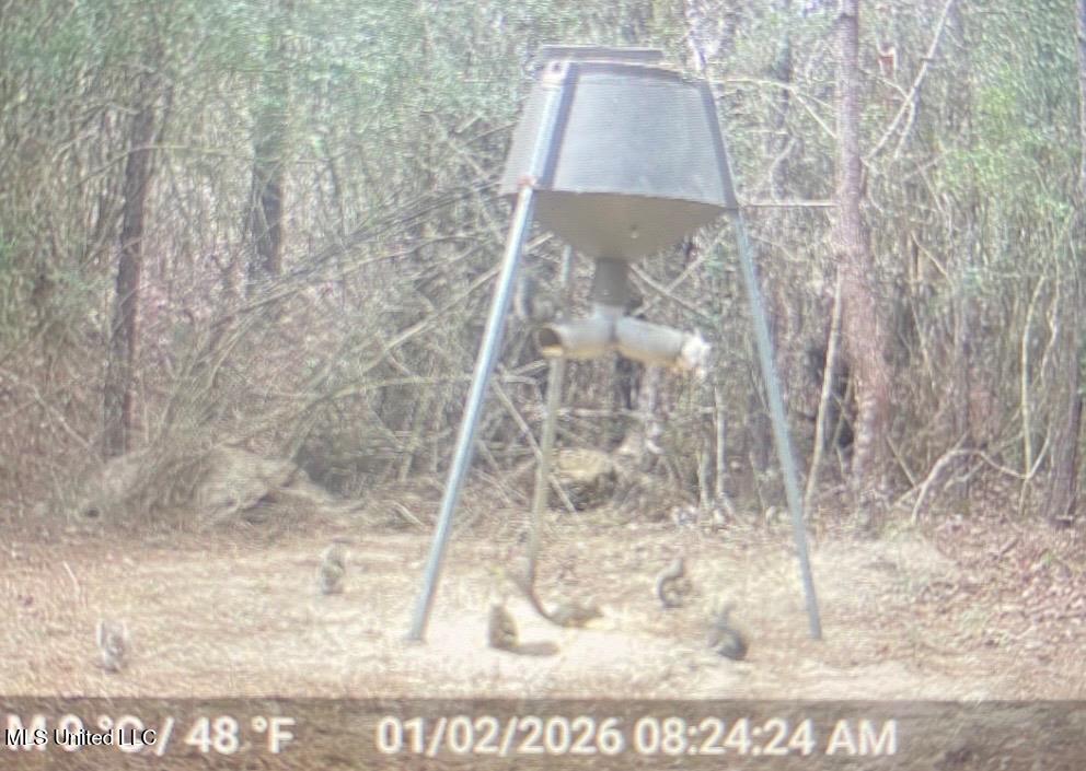 24 Nelson Road Poplarville, MS 39470 - Photo 38 of 43 38