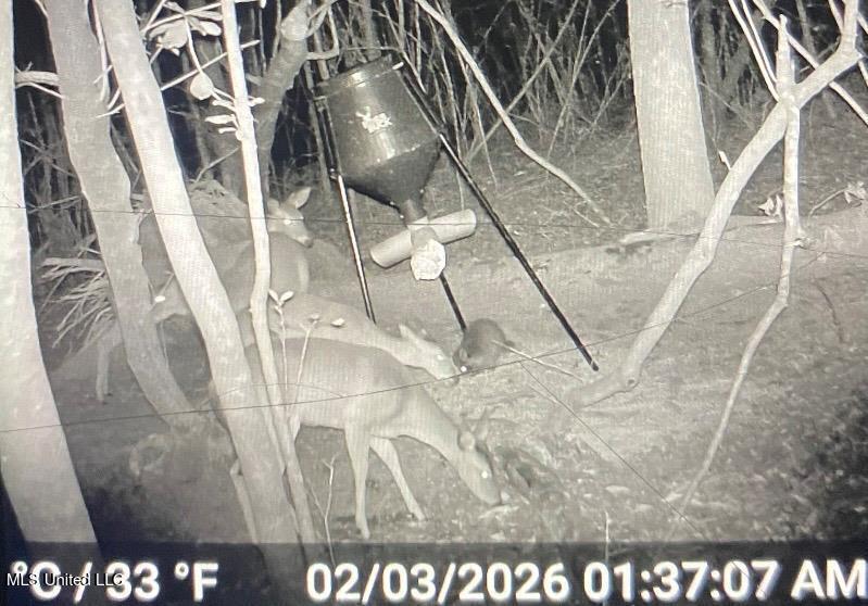 24 Nelson Road Poplarville, MS 39470 - Photo 40 of 43 40