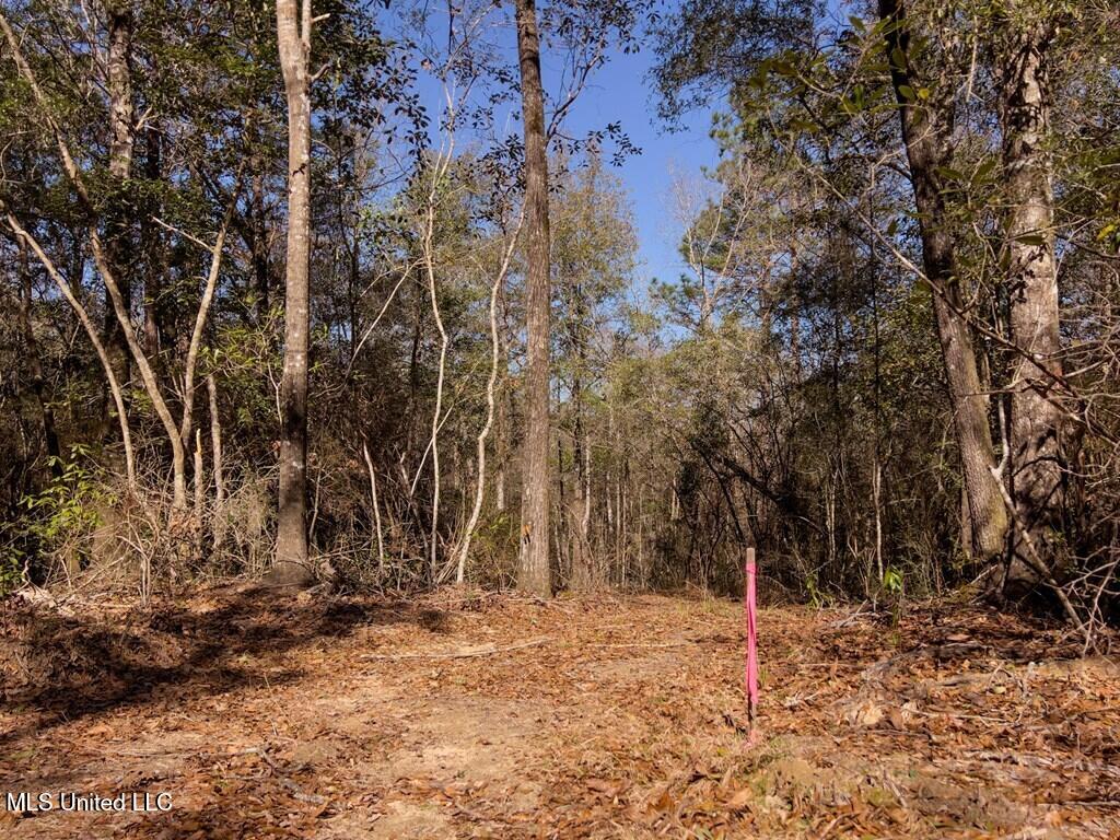 24 Nelson Road Poplarville, MS 39470 - Photo 4 of 43 4