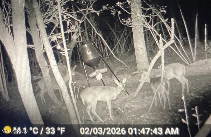 24 Nelson Road Poplarville, MS 39470 - Photo 41 of 43 41