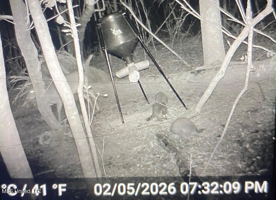 24 Nelson Road Poplarville, MS 39470 - Photo 42 of 43 42