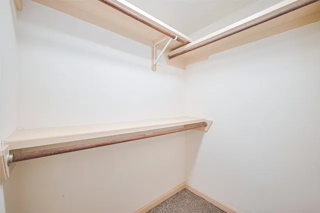 a backyard of a house with plants and large tree