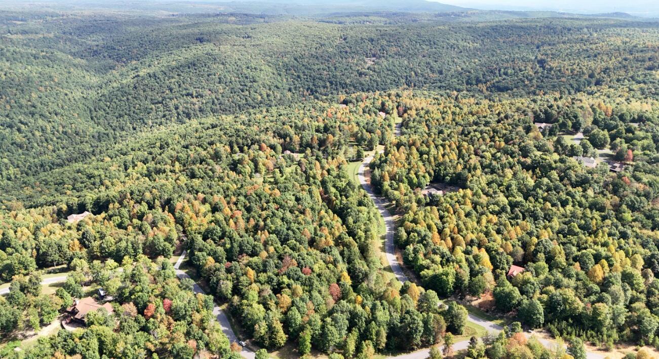 0 Roaring Creek Road, Unit LOT 297 Dunlap, TN 37327 - Photo 29 of 36 Screenshot 2026-04-08 102305