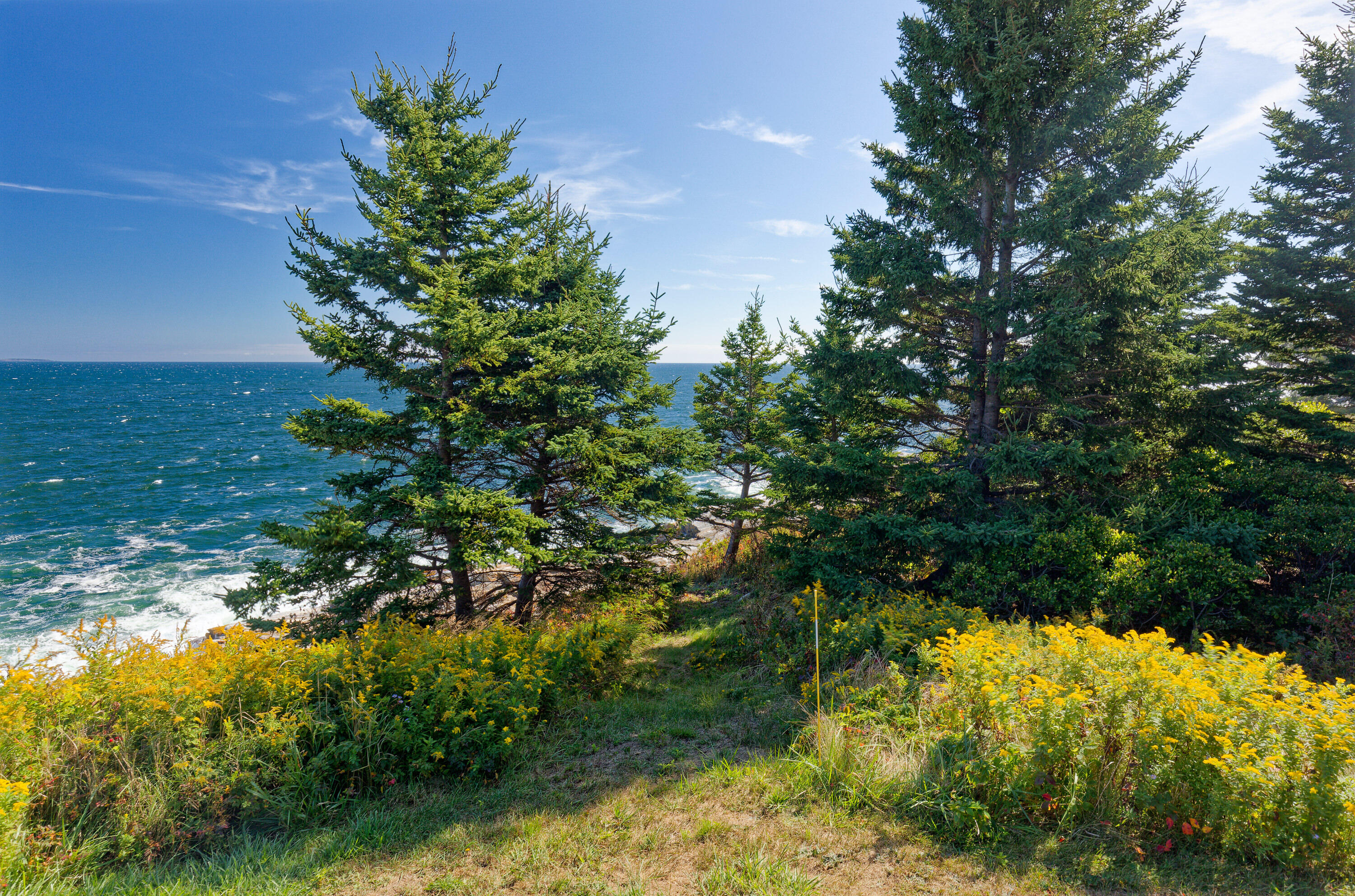 33 Cliff Road New Harbor, ME 04554 - Photo 15 of 46 17-33CliffRd-AT