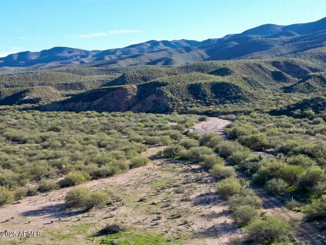 a view of a lush green field