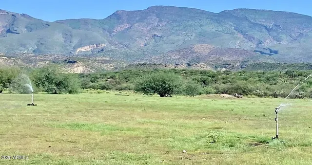 a view of a mountain range with lush green forest