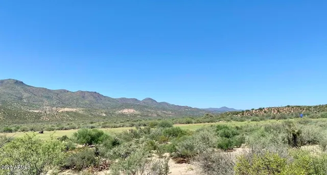 a view of a mountain range with lush green forest