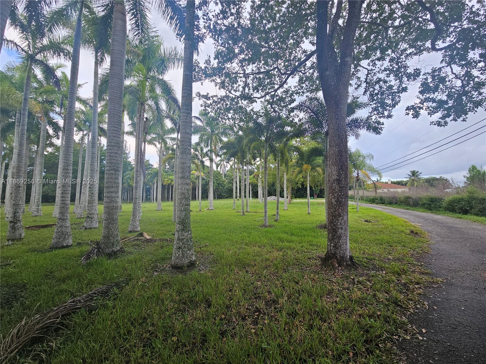 15101 Southwest 27th Street Davie, FL 33331 - Photo 11 of 43 a view of a park with a tree