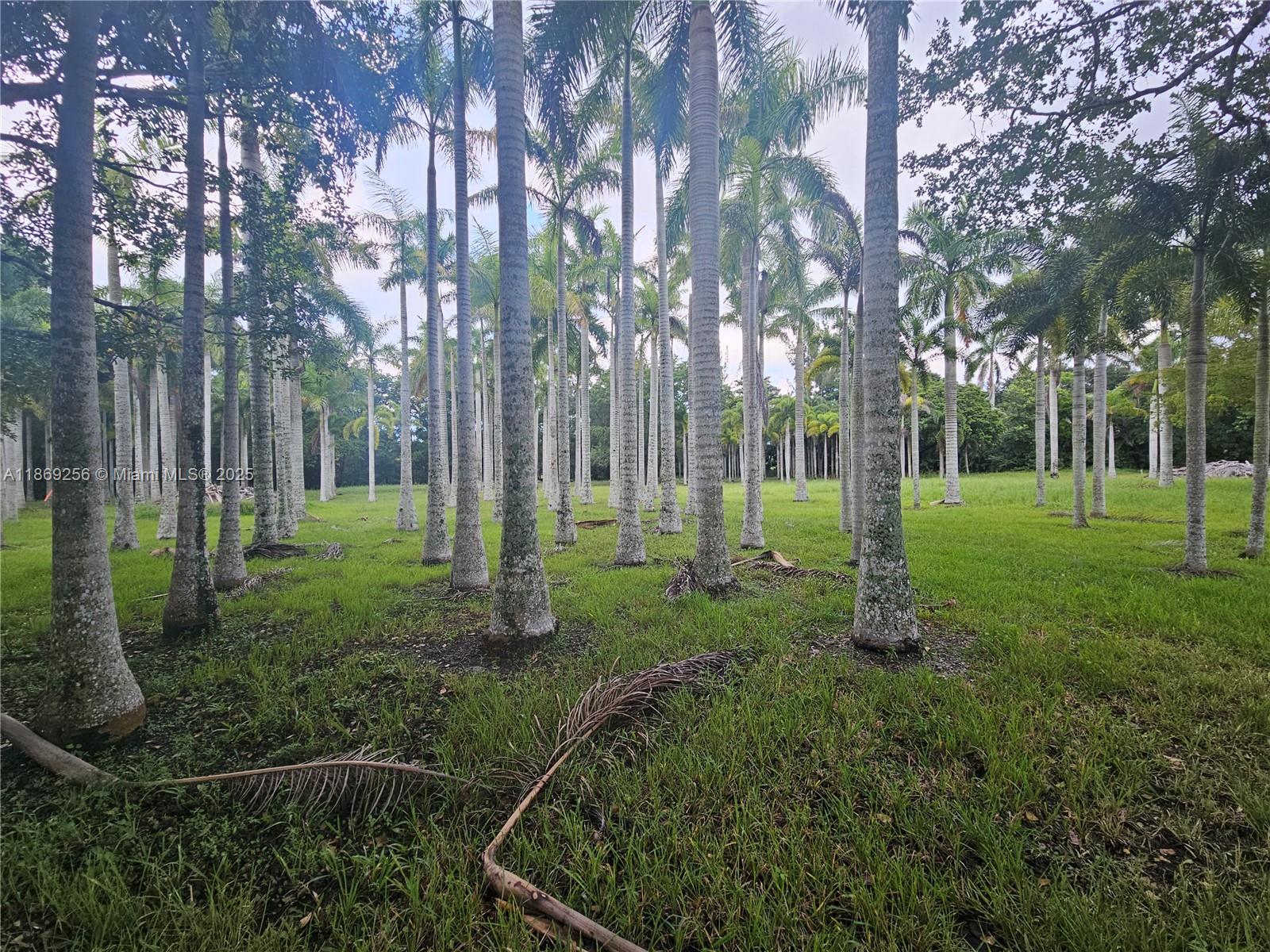 15101 Southwest 27th Street Davie, FL 33331 - Photo 12 of 43 a view of a park with large trees