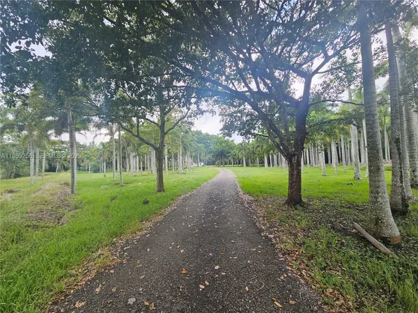 a view of a park with tree s