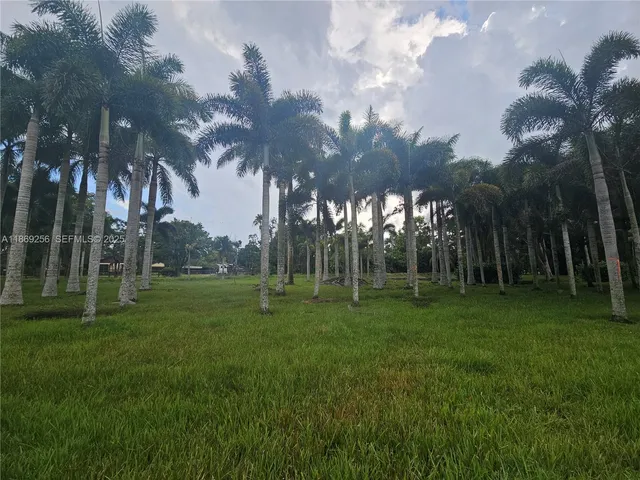 a view of a park