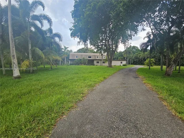 a view of a park with large trees