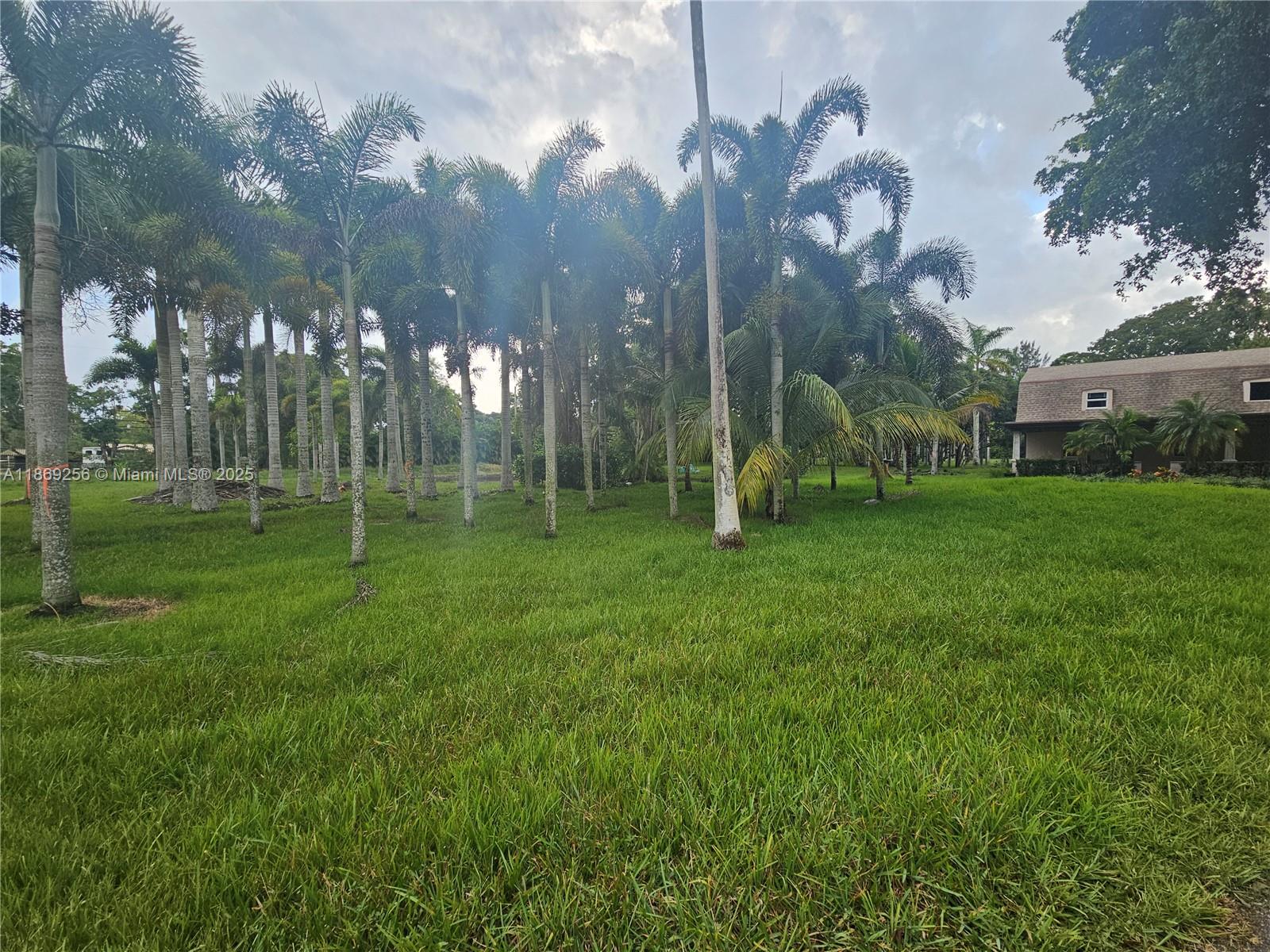 15101 Southwest 27th Street Davie, FL 33331 - Photo 16 of 43 a view of a park