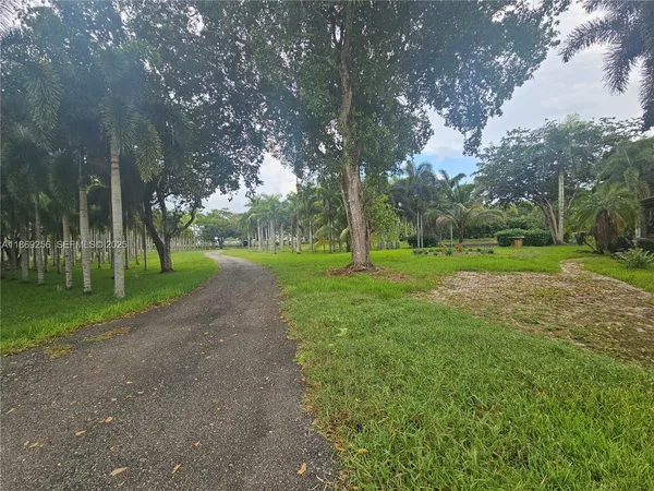 a view of a park with tree s