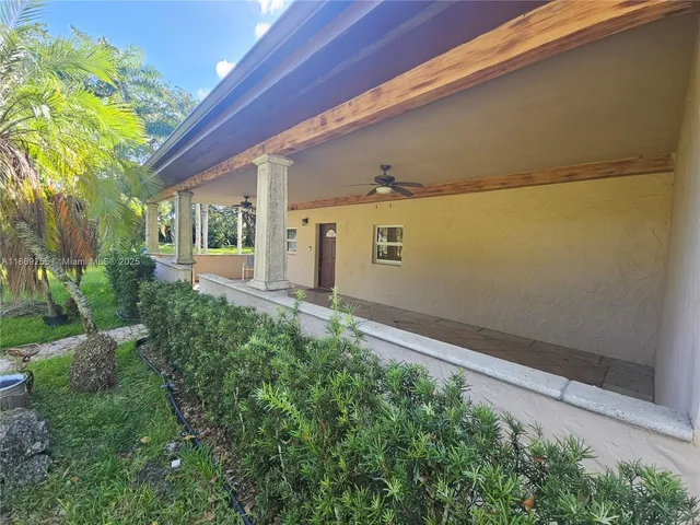 a view of a backyard with plants