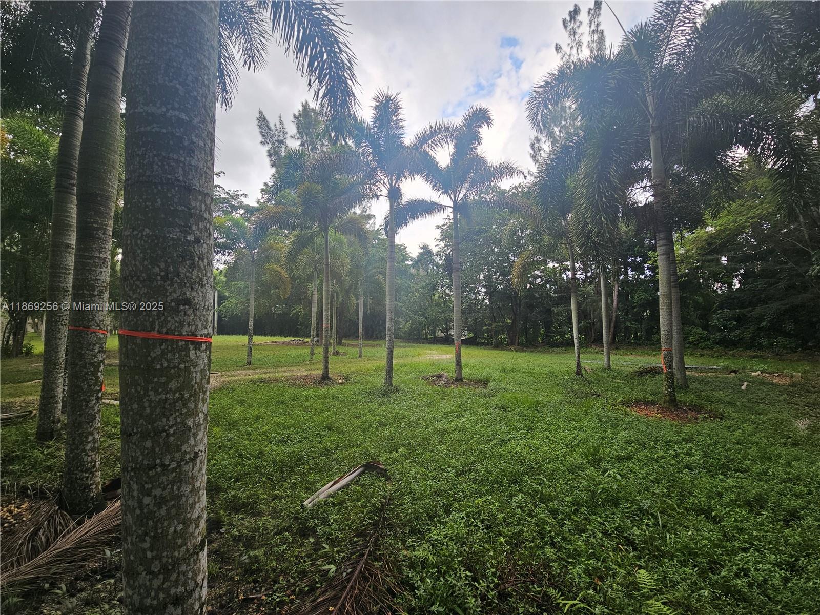 15101 Southwest 27th Street Davie, FL 33331 - Photo 9 of 43 a view of a park