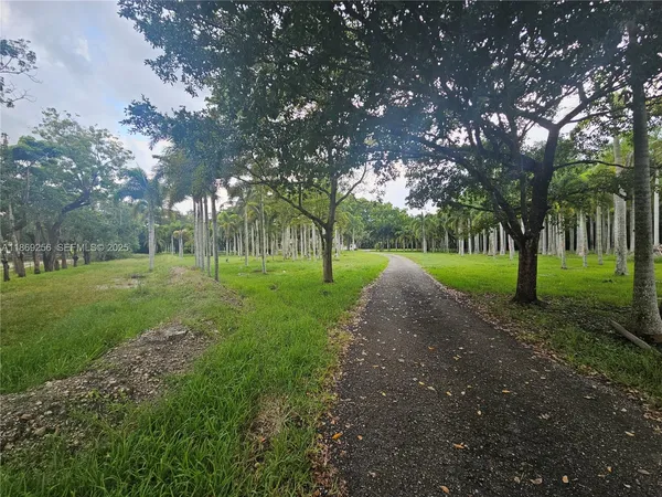 a view of a park with tree s