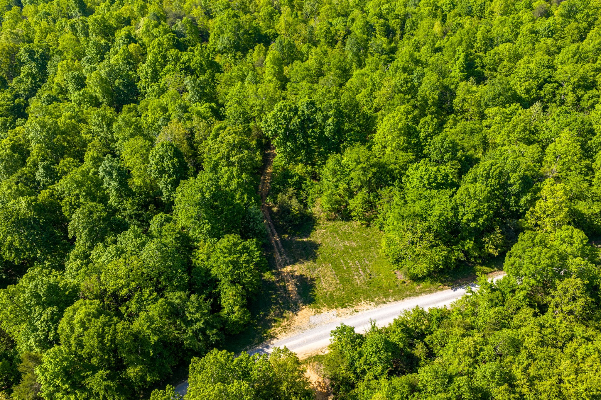 605 Morris Beshear Road Dawson Springs, KY 42408 - Photo 11 of 14 Gallery Image 11