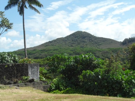 5669 Ohelo Road Kapaa, HI 96746 - Photo 3 of 9 Gallery Image 3