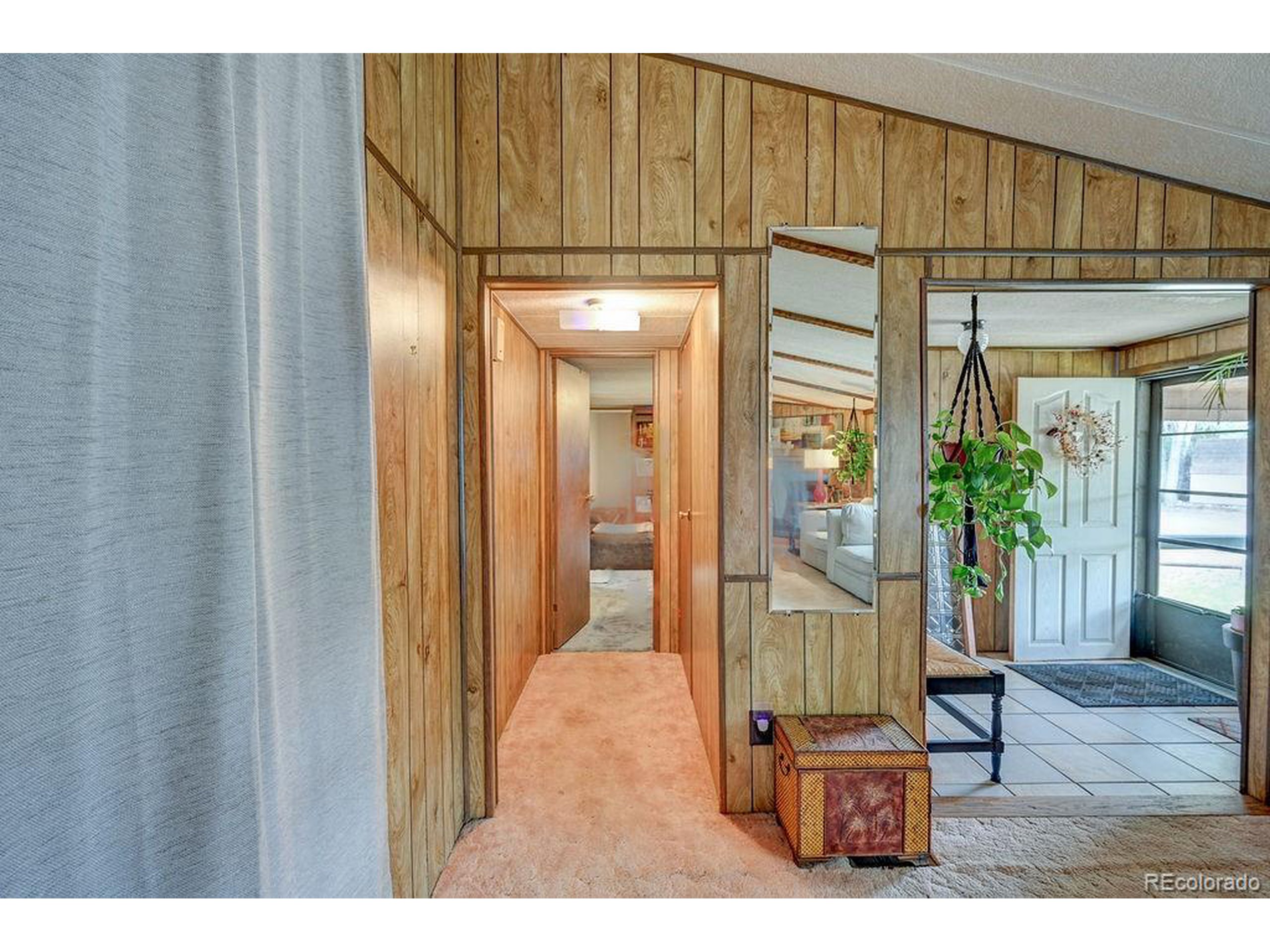 121 Brookdale Avenue Buena Vista, CO 81211 - Photo 43 of 50 a living room with furniture and a potted plant