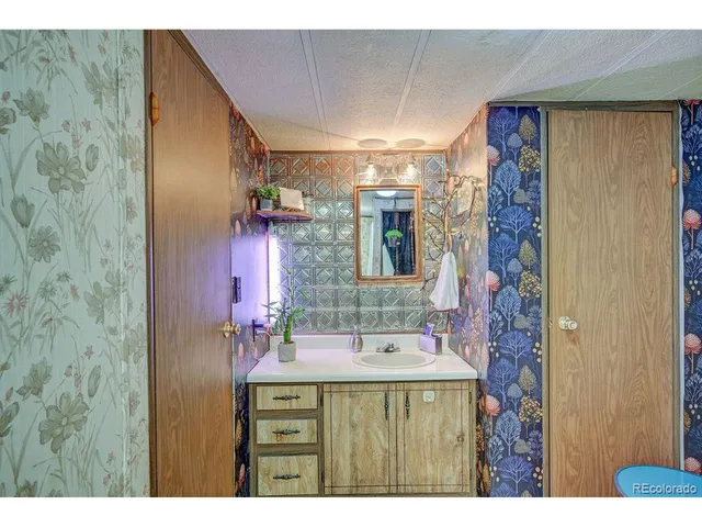 a bathroom with a sink mirror and a shower