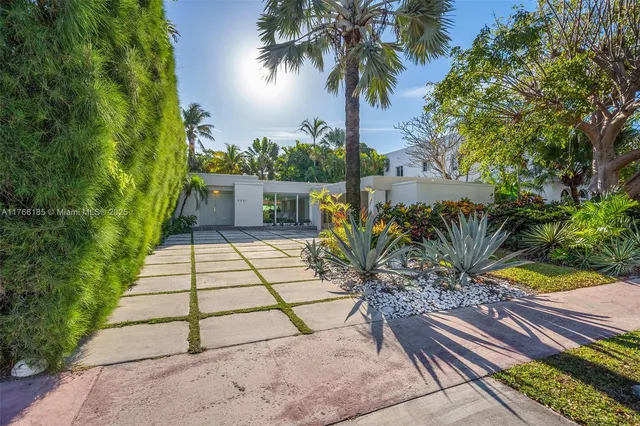 a view of a backyard with plants