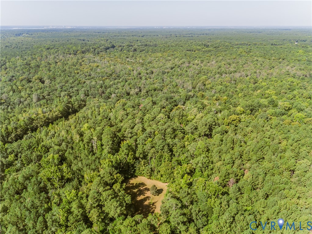 0 Barnetts Road Providence Forge, VA 23140 - Photo 37 of 37 Expansive wooded acreage featuring diverse tree co