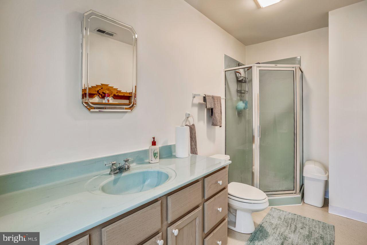 701 Aldino Stepney Road Aberdeen, MD 21001 - Photo 27 of 37 shower in primary bathroom