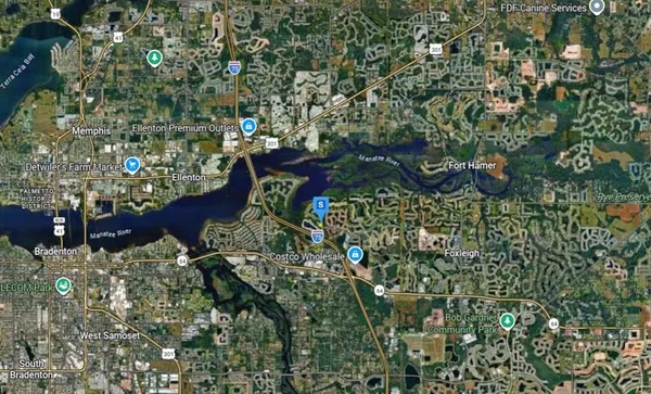 a close up of a plant in a garden