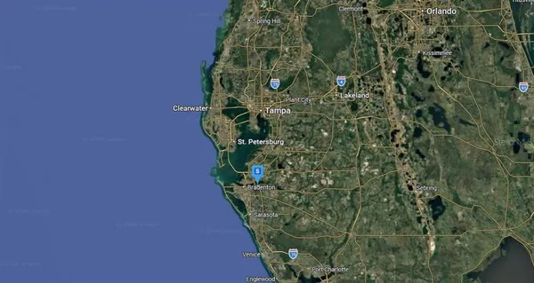 a picture of flowers