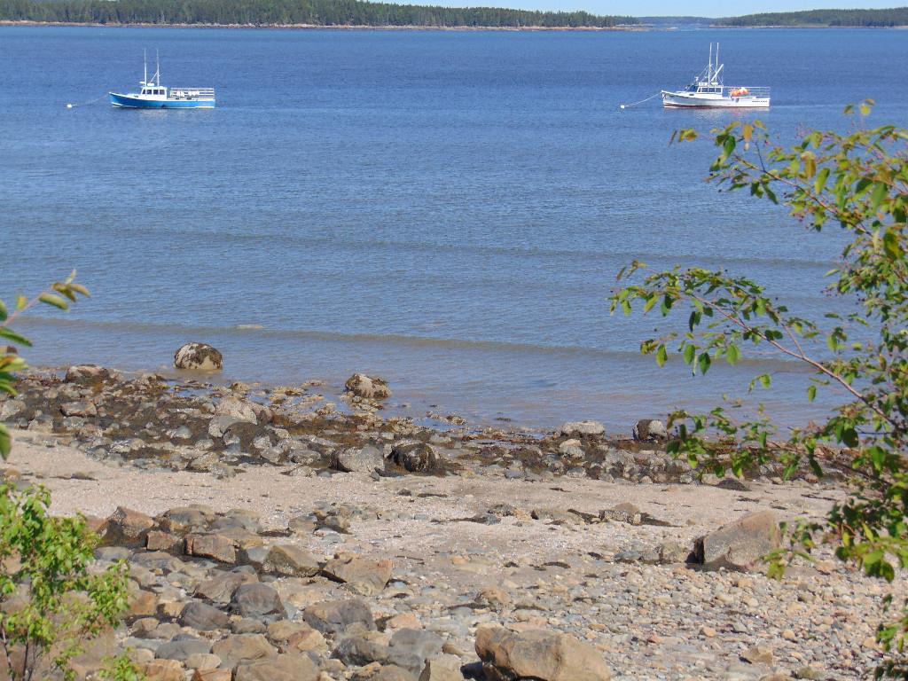 0 Wyman Road Milbridge, ME 04658 - Photo 4 of 11 Deep water moorings right out in...