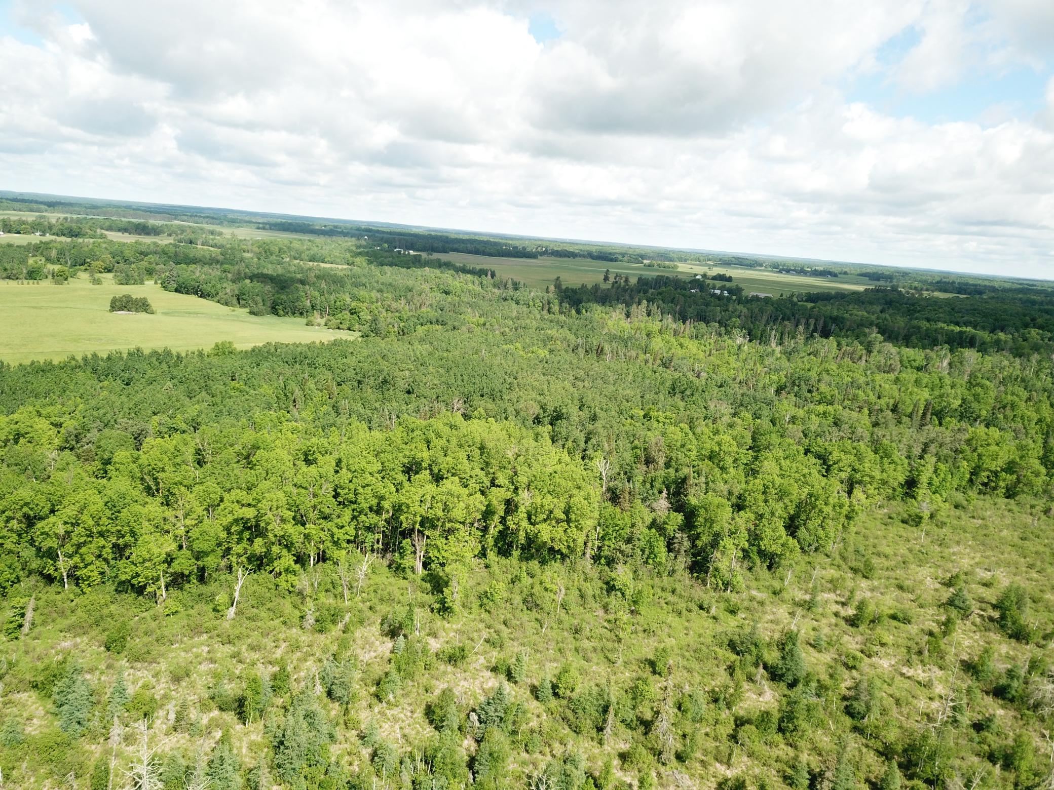 Tbd1 Mud Lake Road Bagley, MN 56621 - Photo 10 of 31