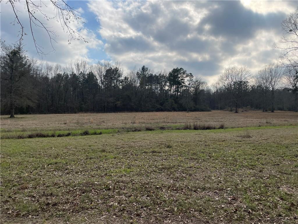 C Smetak Road Deville, LA 71328 - Photo 3 of 4