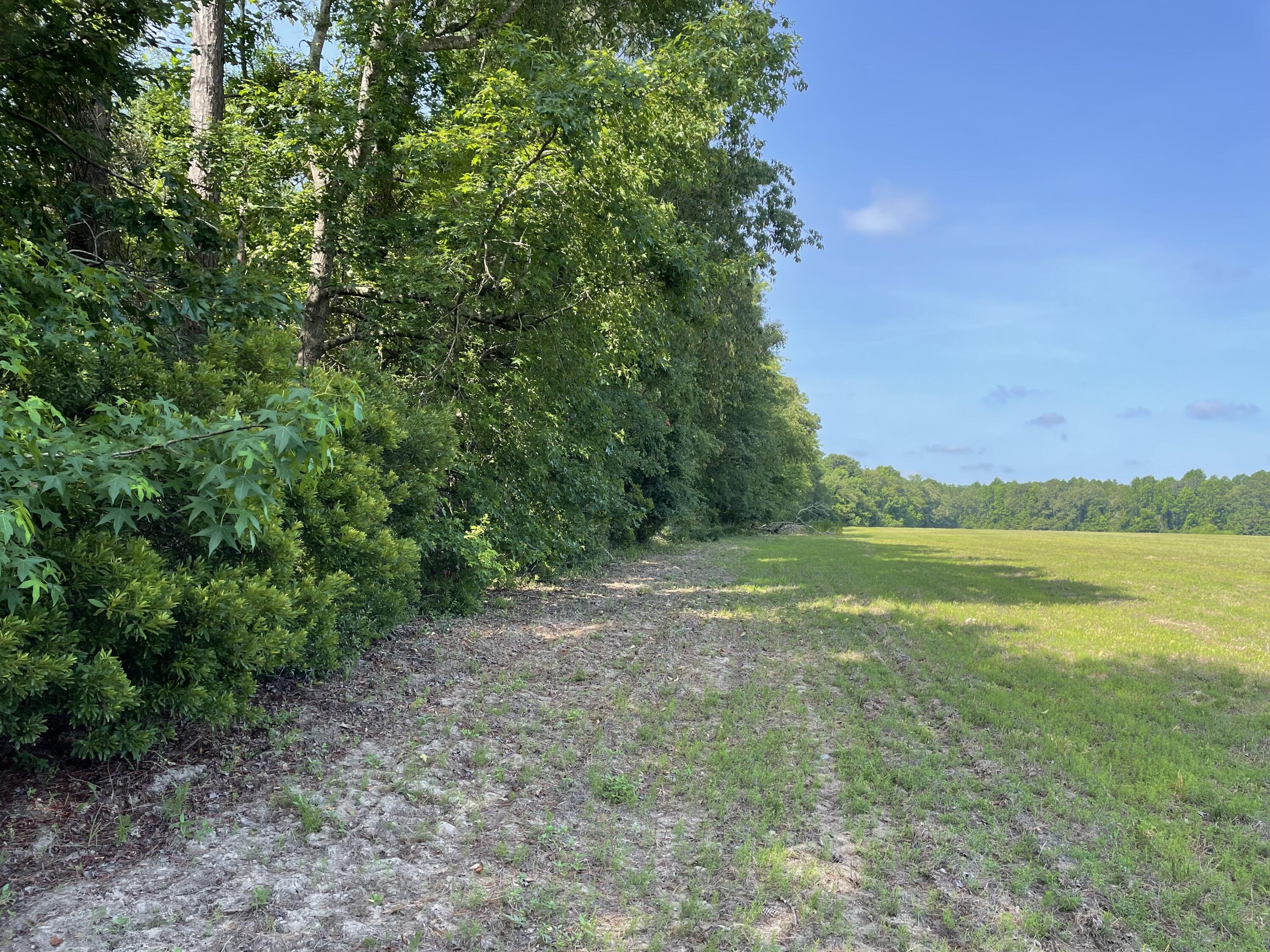 3 US Highway 27 Venus, FL 33960 - Photo 1 of 6 IMG_6182