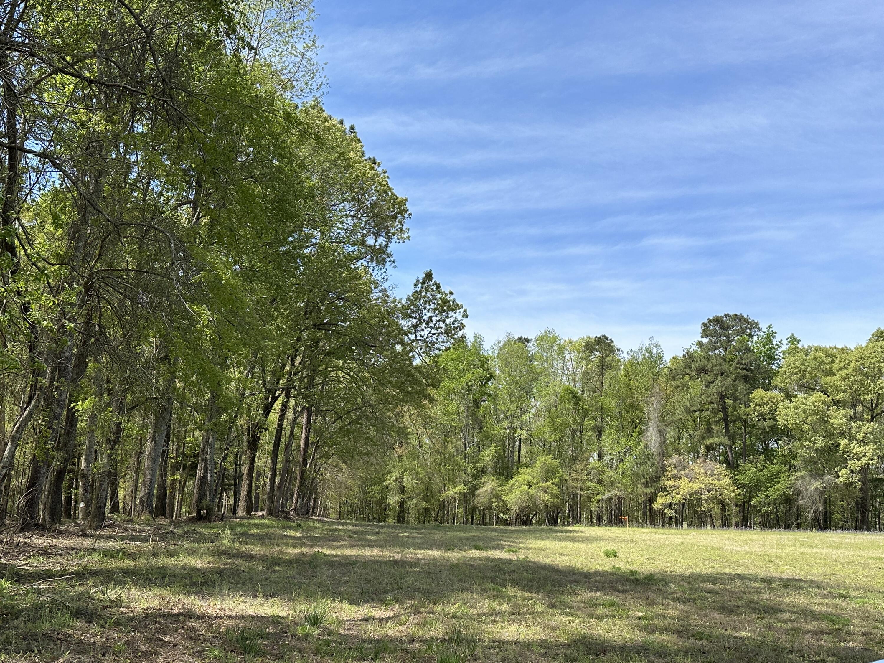 3 US Highway 27 Venus, FL 33960 - Photo 3 of 6 IMG_2063