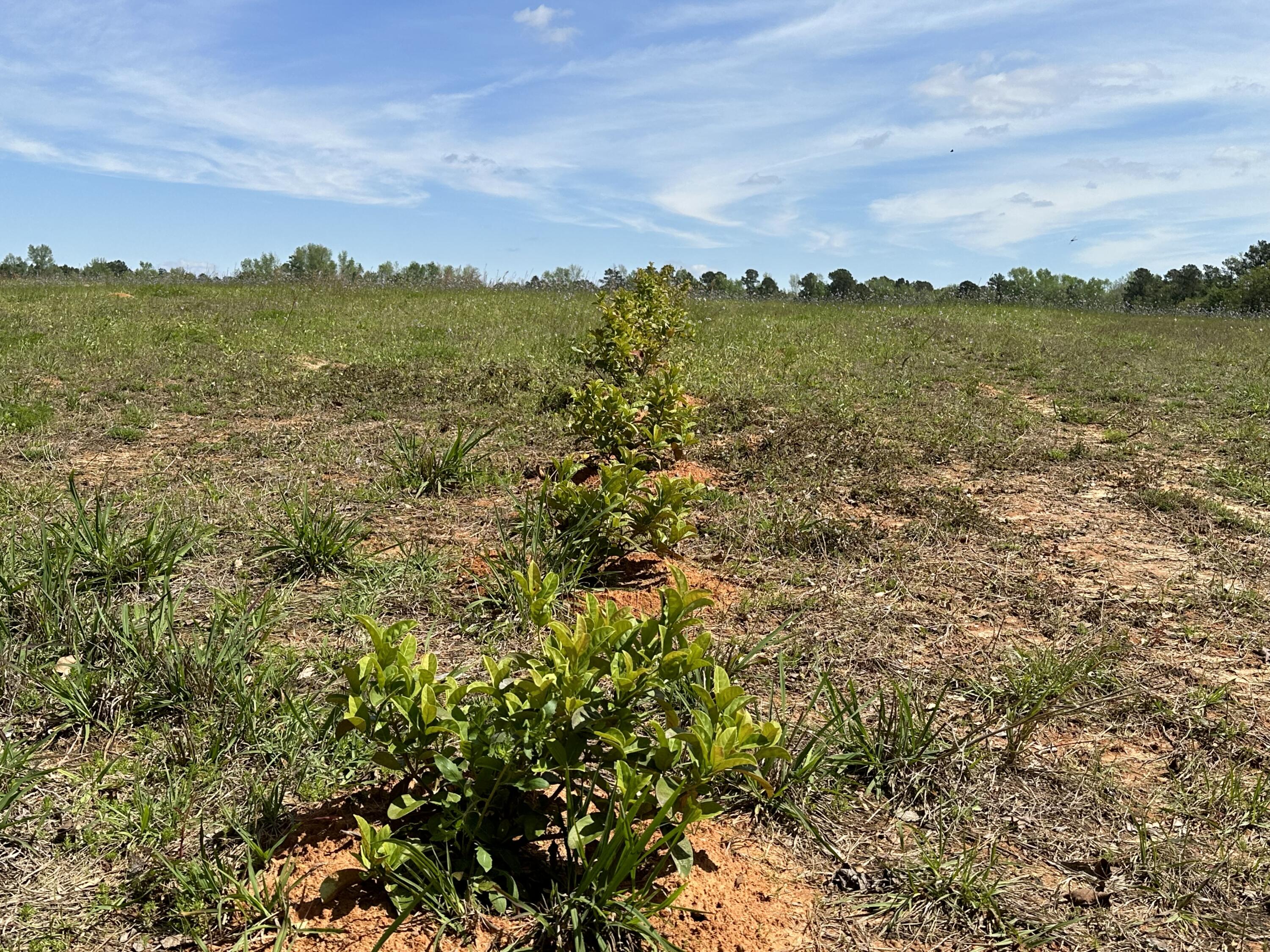3 US Highway 27 Venus, FL 33960 - Photo 4 of 6 IMG_2066