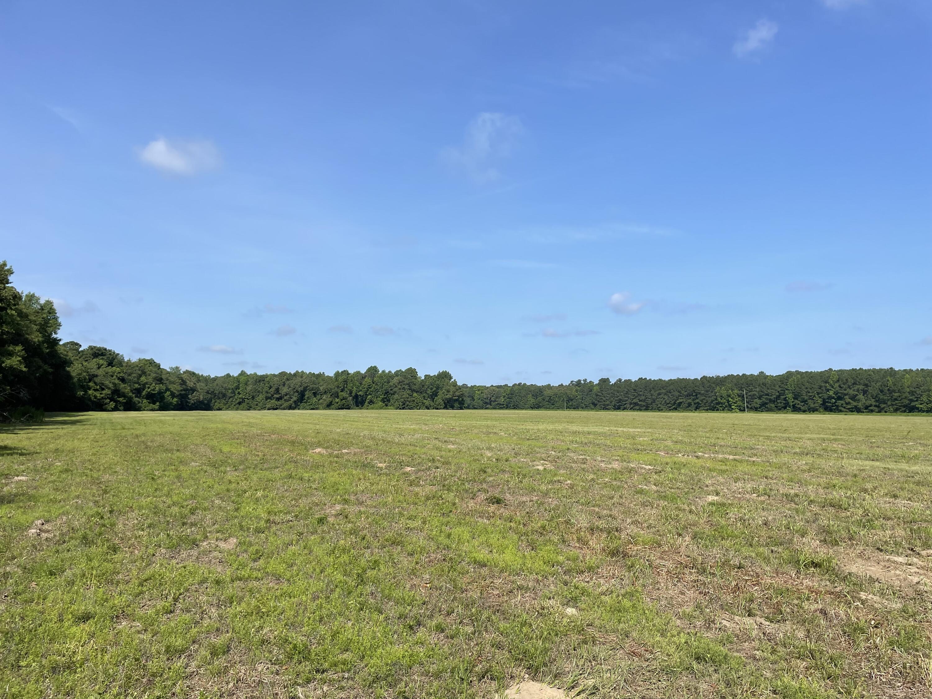 3 US Highway 27 Venus, FL 33960 - Photo 6 of 6 IMG_6183