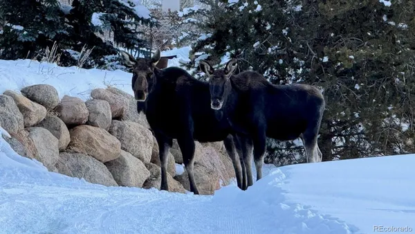 a view of outdoor space
