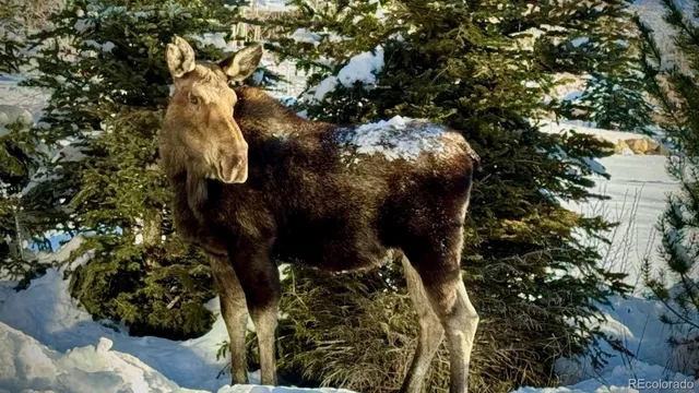 a view of water fountain