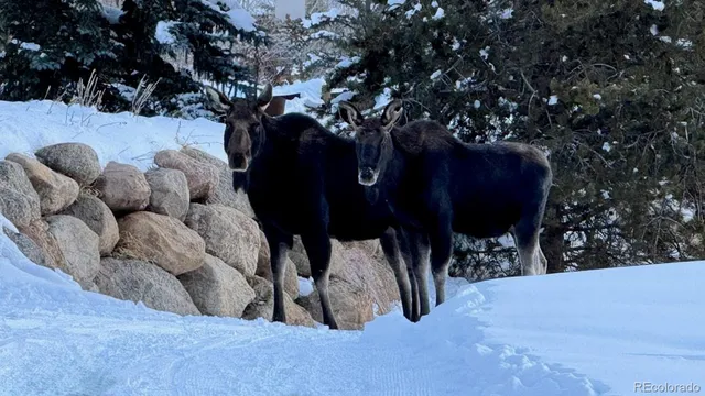 $4,499,000 | 328 Raven Golf Lane, Silverthorne, CO 80498