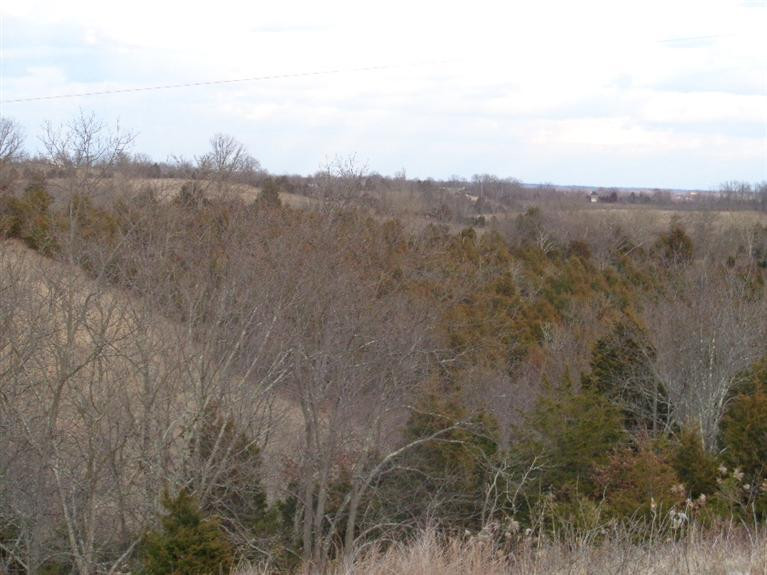 2000 Turner Ridge Road Falmouth, KY 41040 - Photo 14 of 20 Gallery Image 14