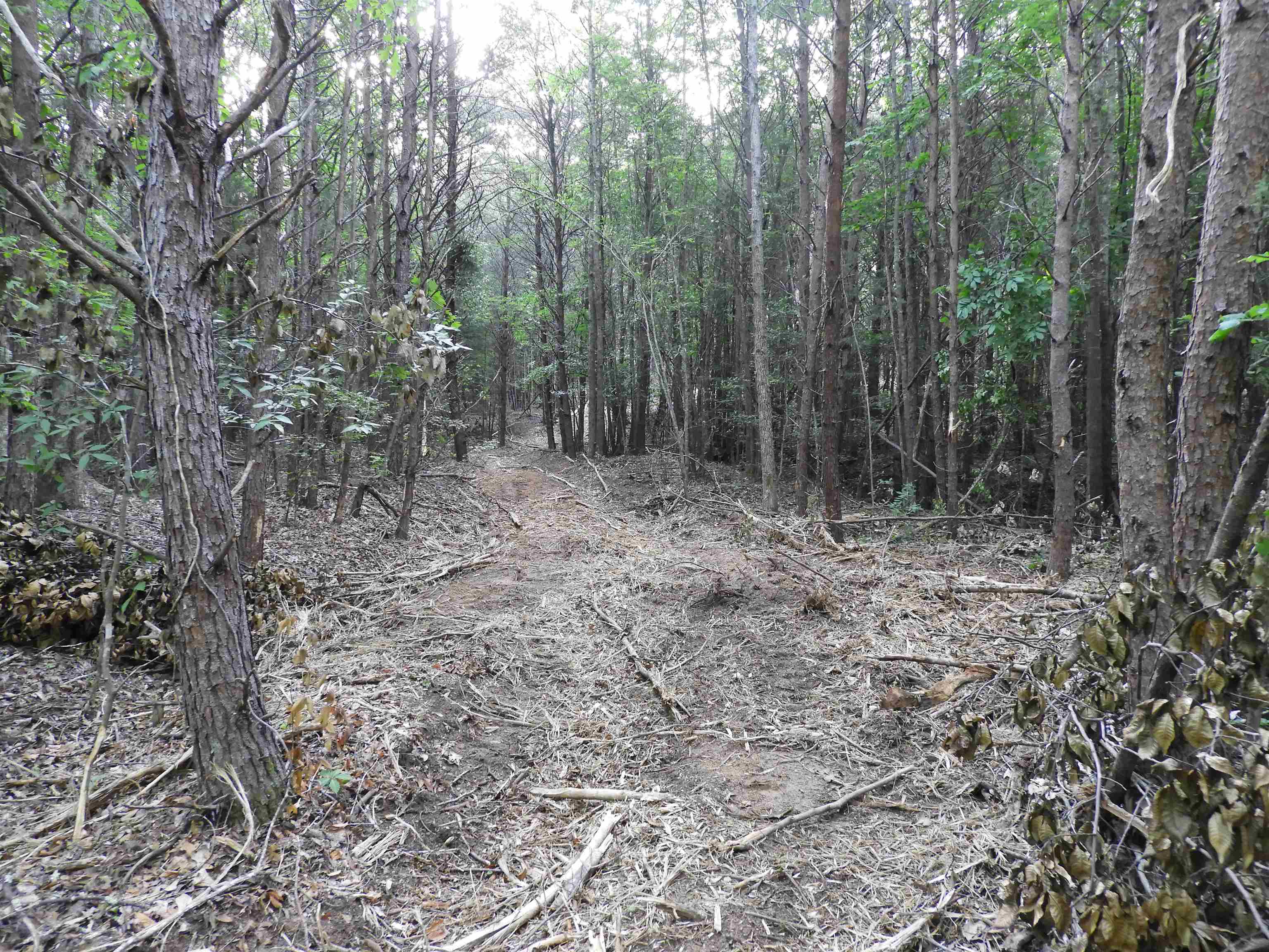 2109-tract D 2109-tract D Riddle Road Pauline, SC 29374 - Photo 32 of 42