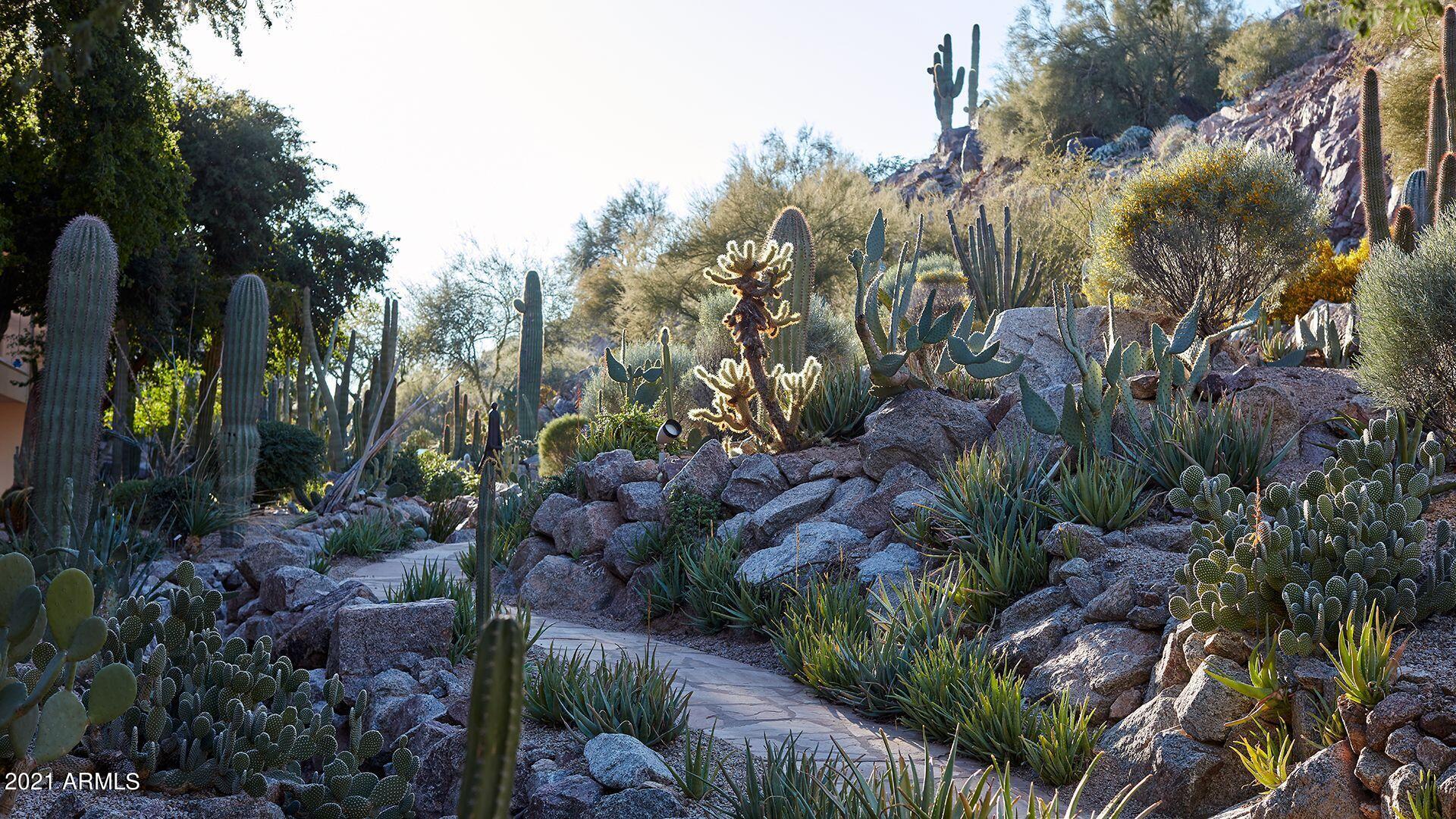 5000 East Camelback Road, Unit 101 Scottsdale, AZ 85251 - Photo 13 of 20 ASC_Phoenician_Desert_Hike_1920x1080-com