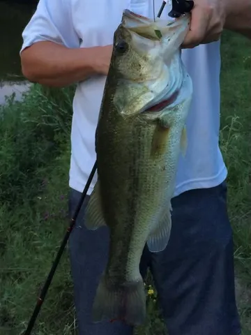 $1,100,000 | 1004 County Road 4574, Sulphur Springs, TX 75482