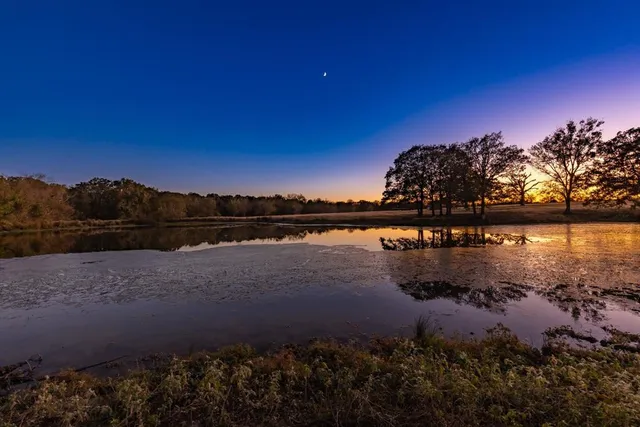 a view of ocean view with large tree