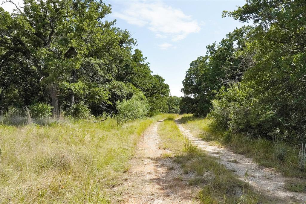157-acres Nash Road Jacksboro, TX 76458 - Photo 29 of 40 Gallery Image 29