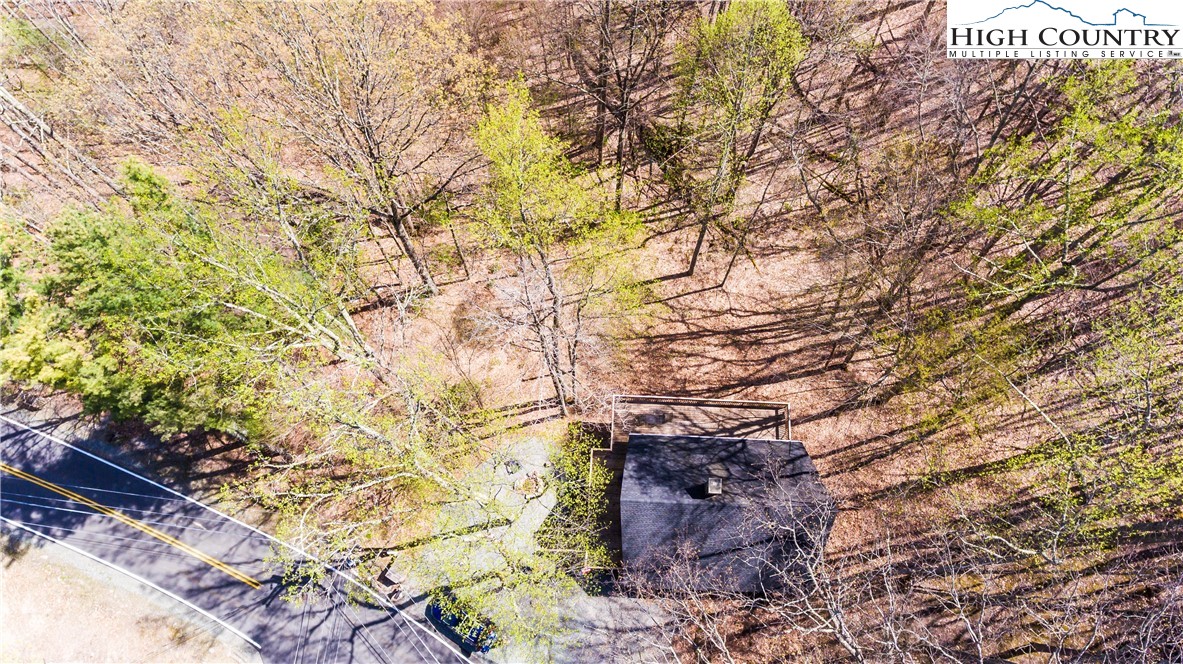 902 Pine Ridge Road Beech Mountain, NC 28604 - Photo 24 of 24 a picture of tree