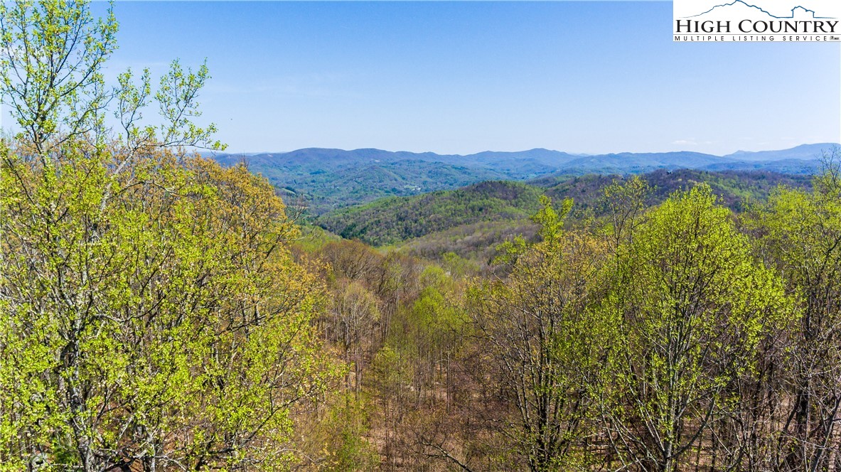 902 Pine Ridge Road Beech Mountain, NC 28604 - Photo 4 of 24 a view of a lush green field with a tree in the background