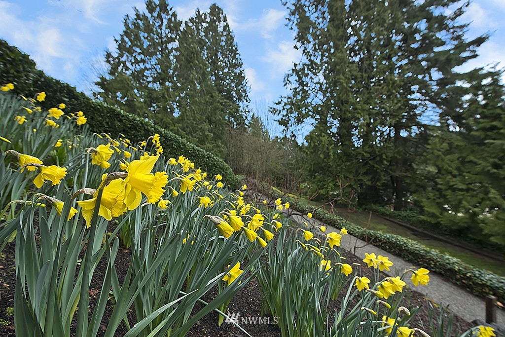 9410 Hoeder Lane Bothell, WA 98011 - Photo 25 of 25 Gallery Image 25