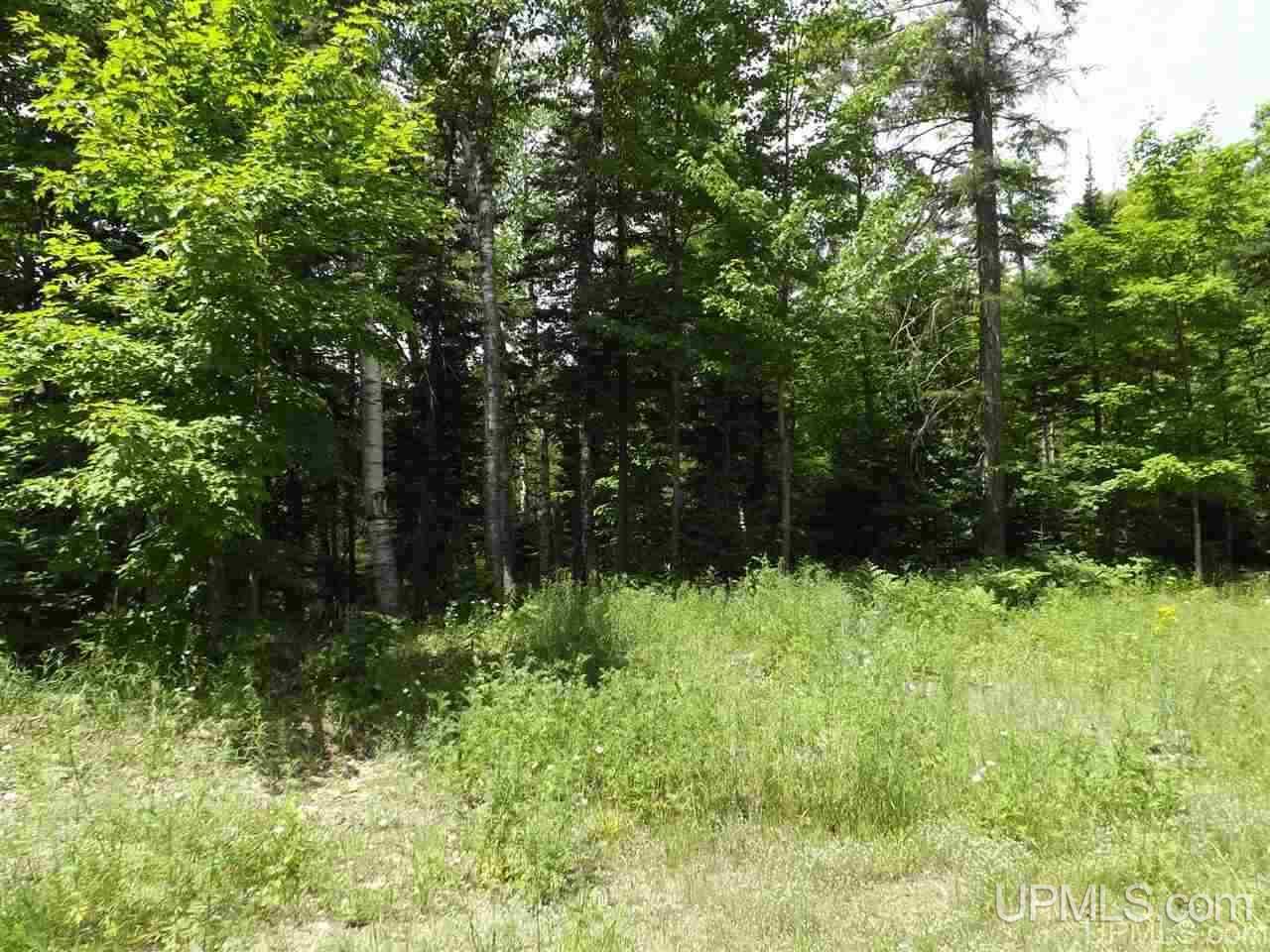 Tbd South Olson Lake Road Michigamme, MI 49861 - Photo 7 of 25